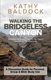 Walking the Bridgeless Canyon Walking the Bridgeless Canyon
