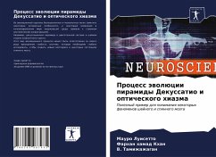 Process äwolücii piramidy Dekussatio i opticheskogo hiazma - Luisetto, Mauro;Khan, Farhan Hamad;Tamizhazhagan, B.