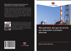 Récupération des gaz de torche par adsorption à pression alternée - Javadi Shokroo, Ehsan