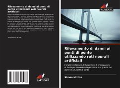 Rilevamento di danni ai ponti di ponte utilizzando reti neurali artificiali - Mitton, Simon