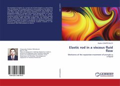 Elastic rod in a viscous fluid flow - Shapovalov, Vladimir