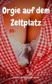 Orgie auf dem Zeltplatz (eBook, ePUB)