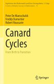 Canard Cycles (eBook, PDF)