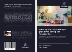 Sanering van verontreinigde grond met behulp van nanodeeltjes - Llumiquinga, Erika; Cumbal, Luis