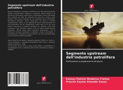 Segmento upstream dell'industria petrolifera - Medeiros Freitas, Ketson Patrick;Almeida Souza, Priscila Sayme