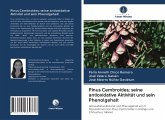 Pinus Cembroides; seine antioxidative Aktivität und sein Phenolgehalt