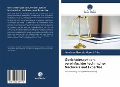 Gerichtsinspektion, vereinfachter technischer Nachweis und Expertise - Moretti Filho, Henrique Marcelo