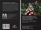 Pinus Cembroides; la sua attività antiossidante e il suo contenuto fenolico