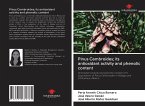 Pinus Cembroides; its antioxidant activity and phenolic content