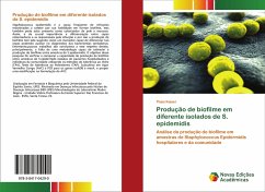 Produção de biofilme em diferente isolados de S. epidemidis - Kaiser, Thaís