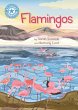 Flamingos (eBook, ePUB) - Bild 1