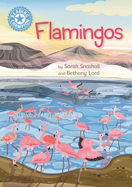 Flamingos (eBook, ePUB)