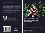 Pinus Cembroides; zijn antioxidante werking en fenolgehalte