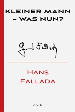 Kleiner Mann - was nun? (eBook, ePUB) - Fallada, Hans