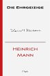 Die Ehrgeizige (eBook, ePUB) - Bild 1