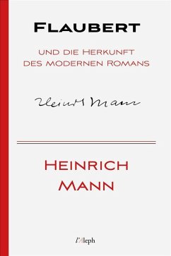 Cover Flaubert und die Herkunft des modernen Romans (eBook, ePUB)
