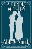 A Bundle of Joy: A Sweet "Pride & Prejudice" Variation (eBook, ePUB) A Bundle of Joy: A Sweet "Pride & Prejudice" Variation (eBook, ePUB)