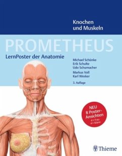 PROMETHEUS LernPoster der Anatomie, Knochen und Muskeln - Schulte, Erik;Schünke, Michael;Schumacher, Udo
