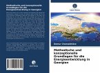 Methodische und konzeptionelle Grundlagen für die Energieentwicklung in Georgien