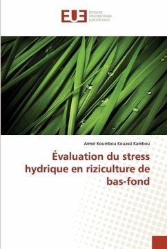 Évaluation du stress hydrique en riziculture de bas-fond - Kambou, Armel Koumbou Kouassi