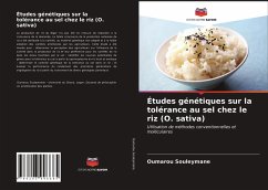 Études génétiques sur la tolérance au sel chez le riz (O. sativa) - Souleymane, Oumarou