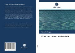 Kritik der reinen Mathematik - Popov, Valentin