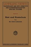 Rost und Rostschutz (eBook, PDF)