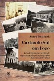 Caxias do Sul em Foco (eBook, ePUB)