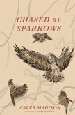 Chased By Sparrows (eBook, ePUB)