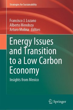 Energy Issues and Transition to a Low Carbon Economy (eBook, PDF)