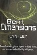 Bent Dimensions (eBook, ePUB) - Bild 1