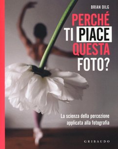 Cover Perché ti piace questa foto? La scienza della percezione applicata alla fotografia