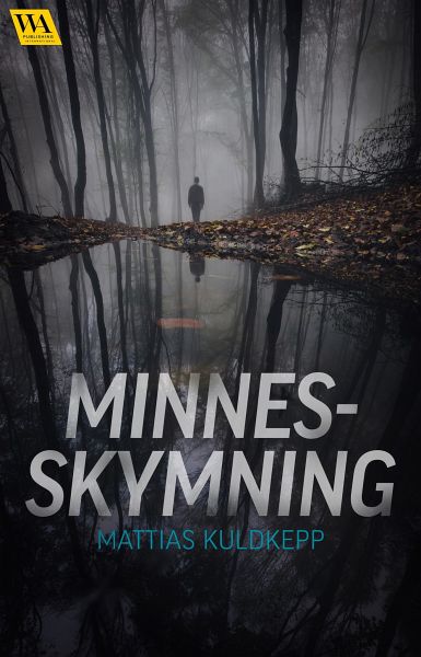 Minnesskymning (eBook, ePUB) Minnesskymning (eBook, ePUB)