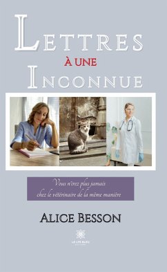 Lettres à une inconnue (eBook, ePUB) - Besson, Alice