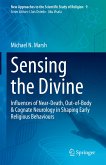 Sensing the Divine (eBook, PDF)
