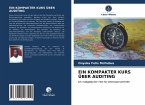 EIN KOMPAKTER KURS ÜBER AUDITING