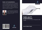 Kader van IT-projectbeheer