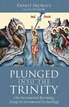 Plunged into the Trinity (eBook, ePUB)