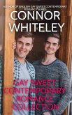 Gay Sweet Contemporary Romance Collection (The English Gay Sweet Contemporary Romance Stories, #6) (eBook, ePUB)