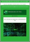 Programa en VBA (Visual Basic for Applications) - nueva versión (eBook, ePUB)