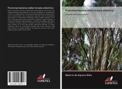 Frammentazione della foresta atlantica - Silva, Beatriz de Aquino