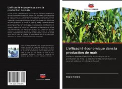 L'efficacité économique dans la production de maïs - Tukela, Bealu