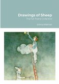 Drawings of Sheep