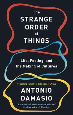 Cover The Strange Order Of Things (eBook, ePUB)