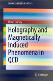 Holography and Magnetically Induced Phenomena in QCD (eBook, PDF)