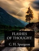 Flashes of Thought (eBook, ePUB)
