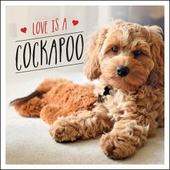 Love is a Cockapoo (eBook, ePUB) - Ellis, Charlie