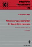 Wissensrepräsentation in Expertensystemen (eBook, PDF)