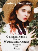 Die Geheimnisse eines Wundermannes - Erster Teil (eBook, ePUB)