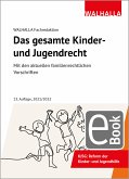 Das gesamte Kinder- und Jugendrecht (eBook, PDF)